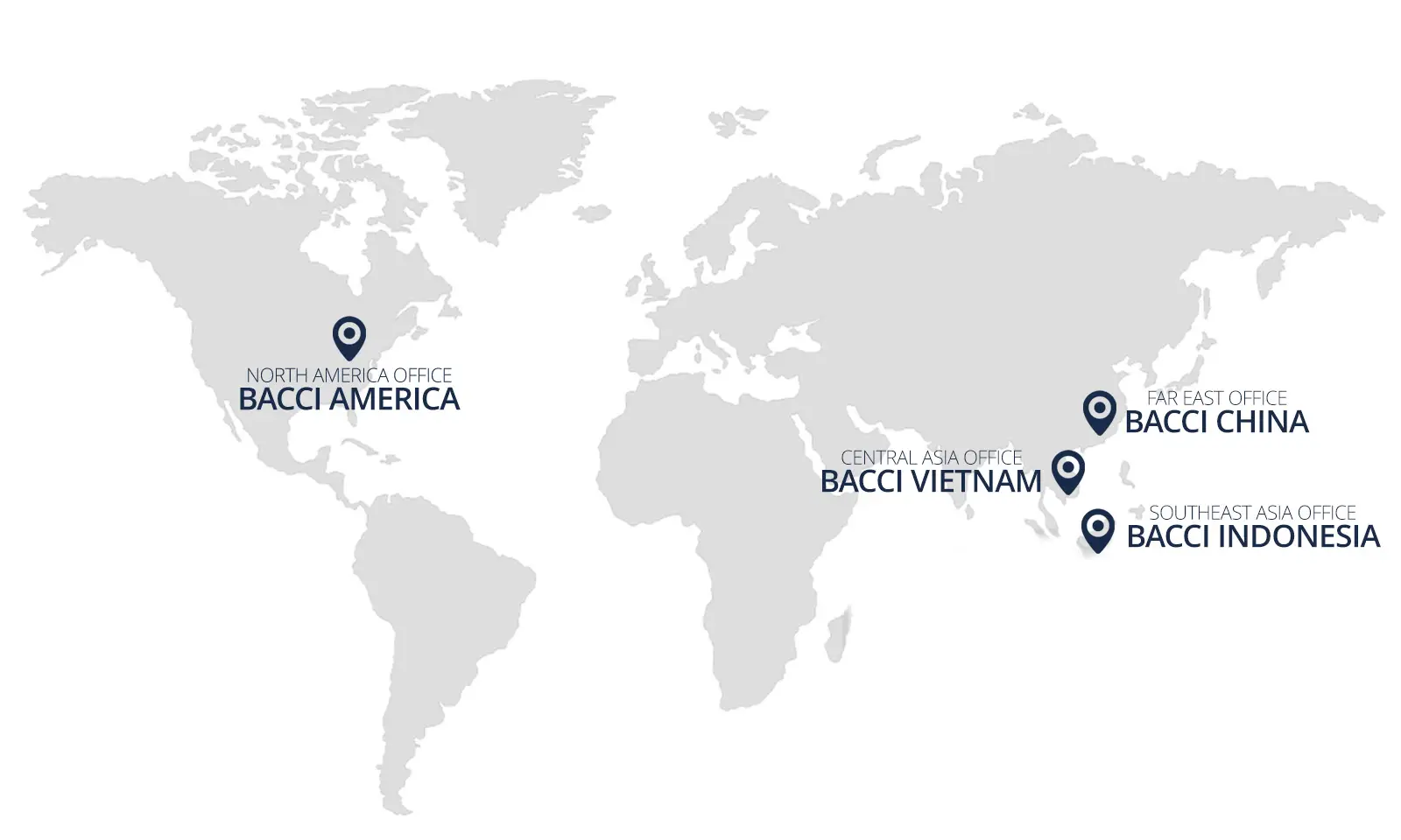 Bacci website image