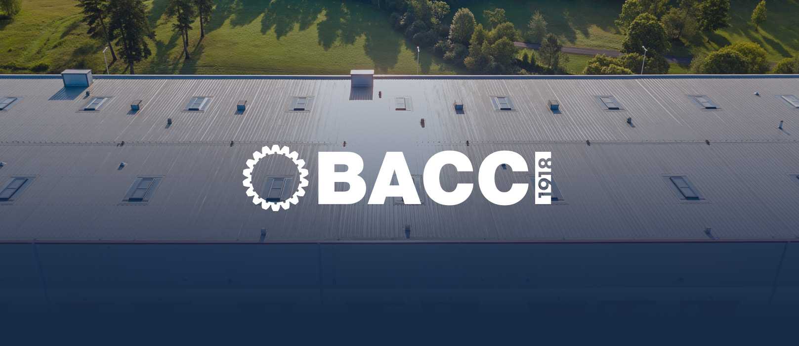 Bacci website image