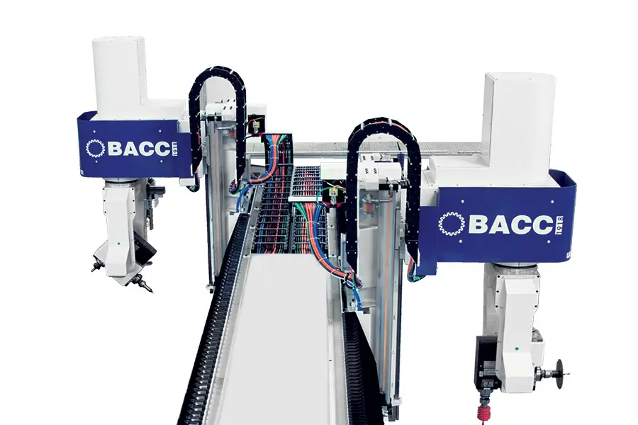 Bacci website image