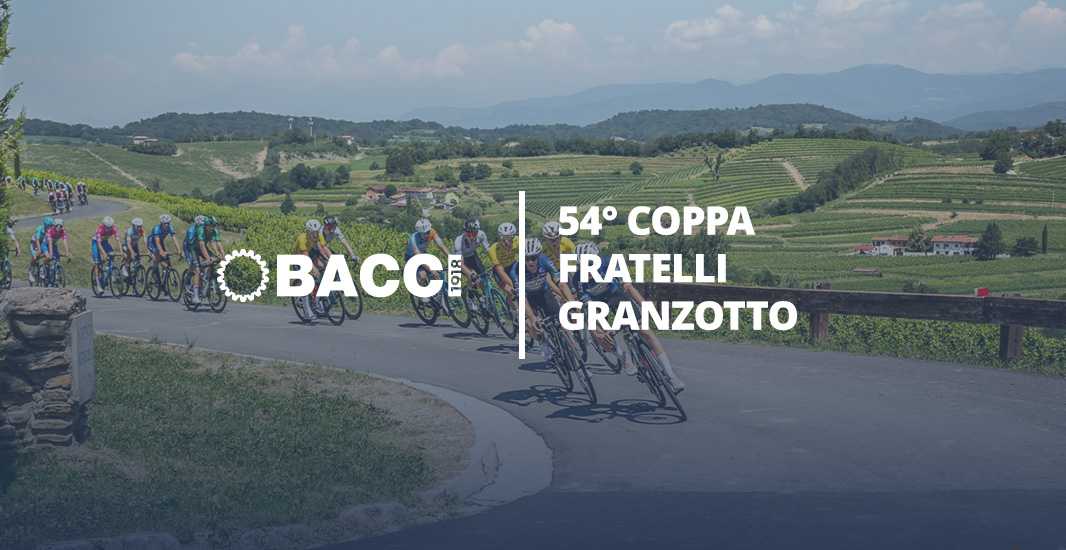 Bacci website image