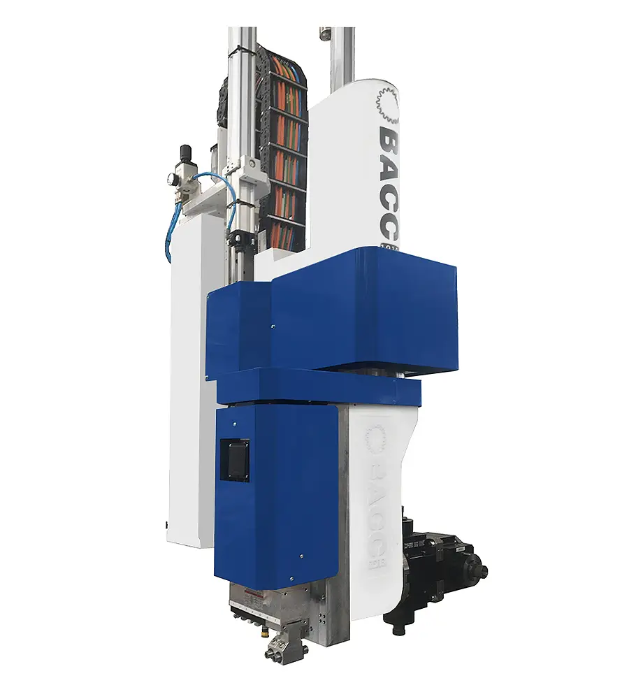 Bacci website image